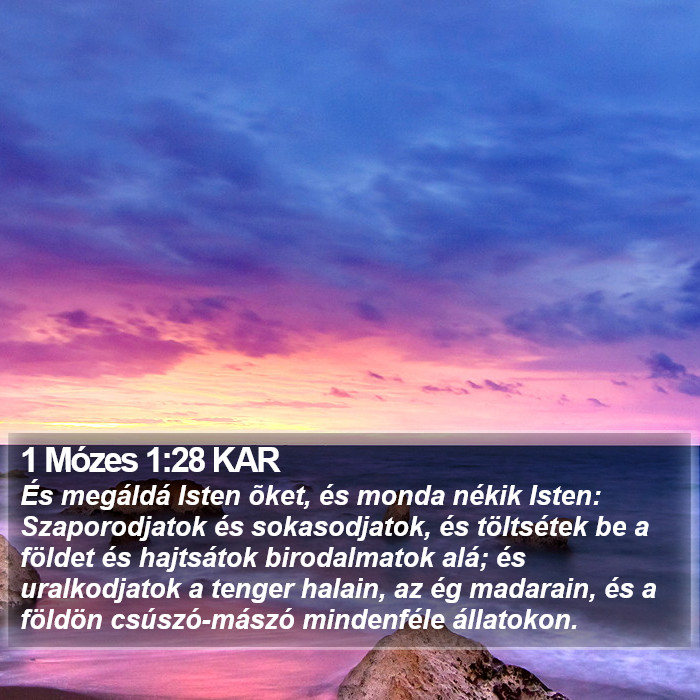 1 Mózes 1:28 KAR Bible Study