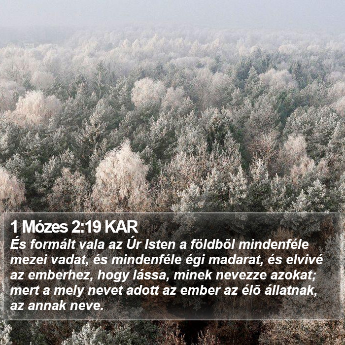 1 Mózes 2:19 KAR Bible Study