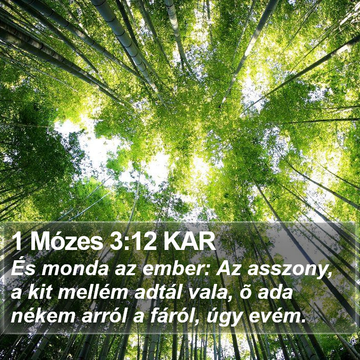 1 Mózes 3:12 KAR Bible Study