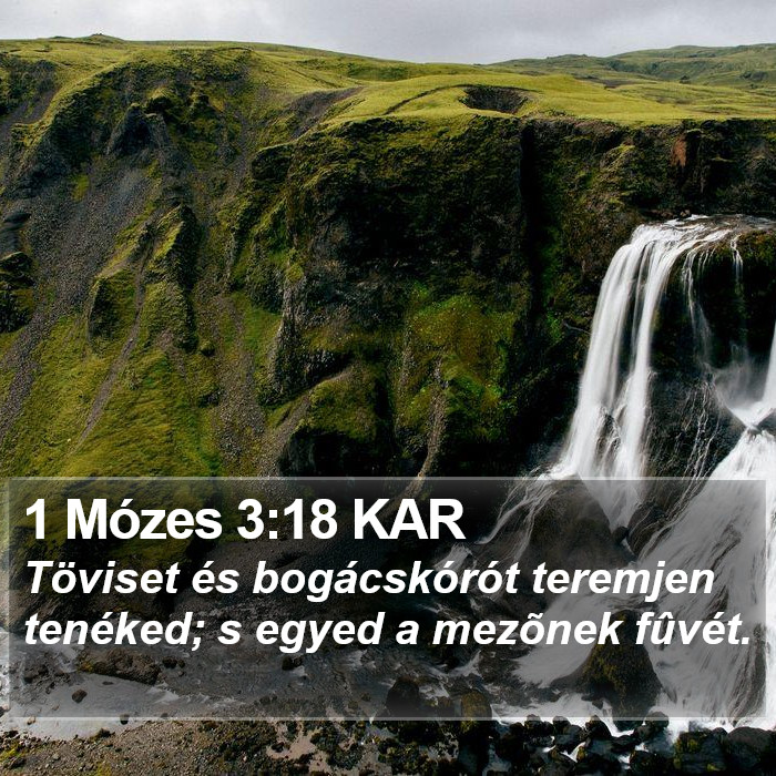 1 Mózes 3:18 KAR Bible Study