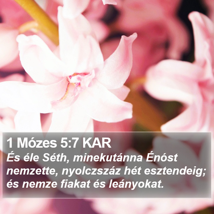 1 Mózes 5:7 KAR Bible Study