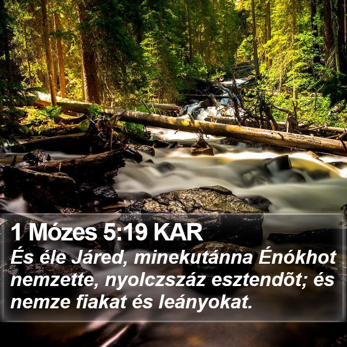 1 Mózes 5:19 KAR Bible Study