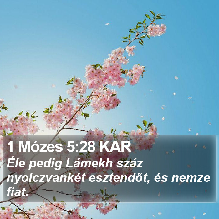 1 Mózes 5:28 KAR Bible Study