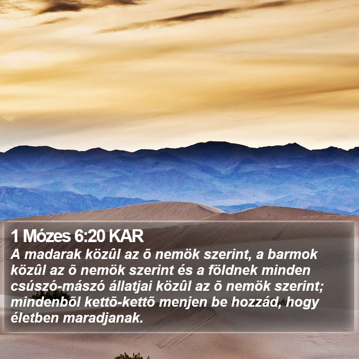 1 Mózes 6:20 KAR Bible Study