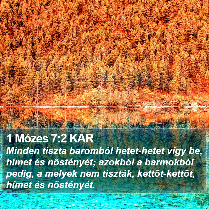 1 Mózes 7:2 KAR Bible Study