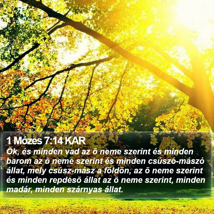 1 Mózes 7:14 KAR Bible Study