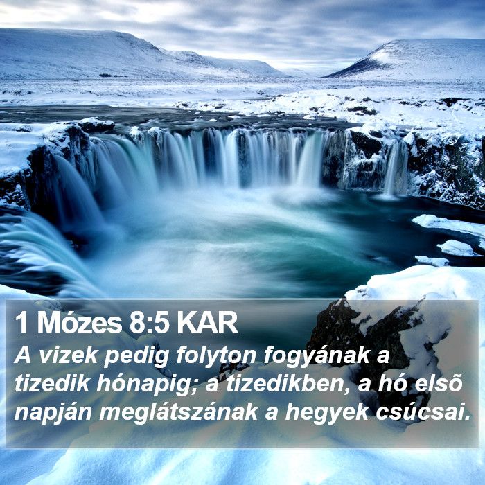 1 Mózes 8:5 KAR Bible Study