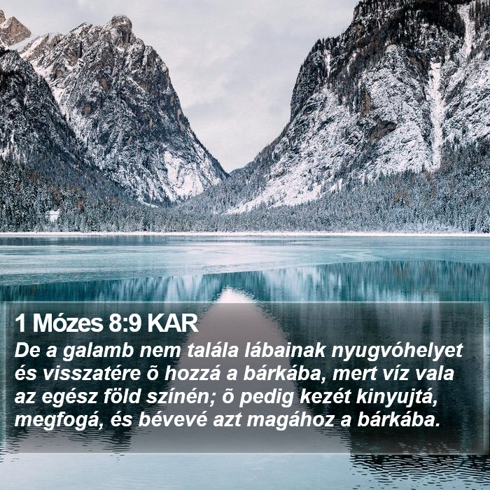 1 Mózes 8:9 KAR Bible Study