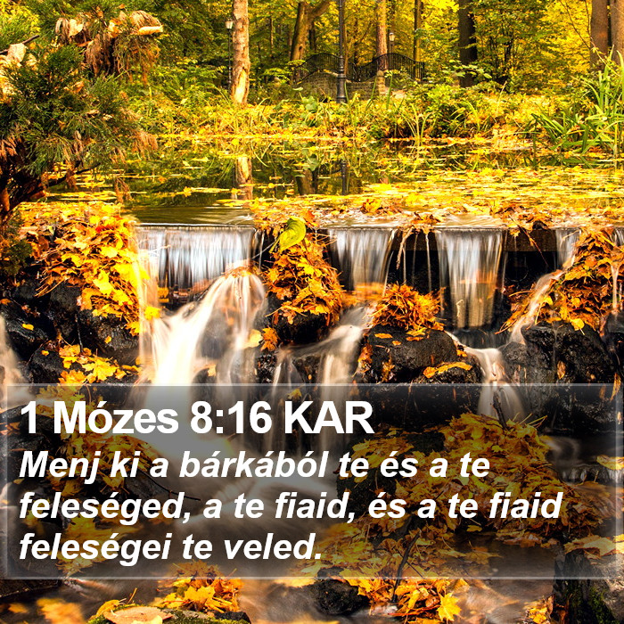 1 Mózes 8:16 KAR Bible Study