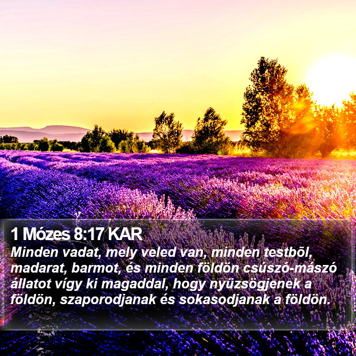 1 Mózes 8:17 KAR Bible Study