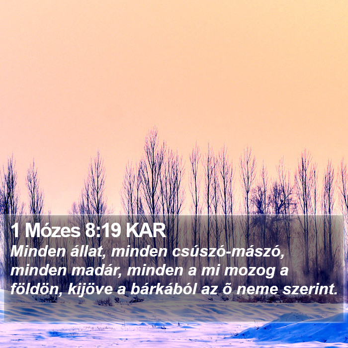 1 Mózes 8:19 KAR Bible Study