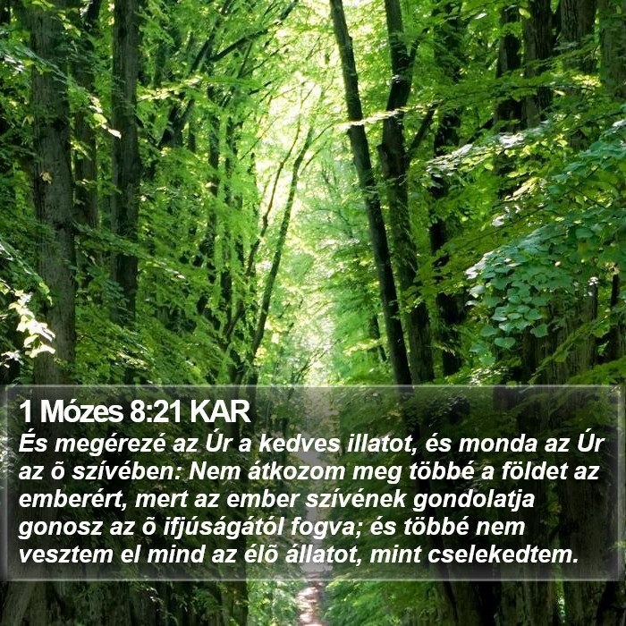 1 Mózes 8:21 KAR Bible Study