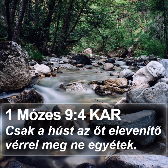 1 Mózes 9:4 KAR Bible Study