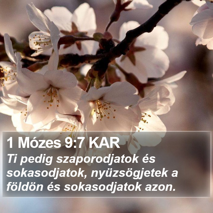 1 Mózes 9:7 KAR Bible Study