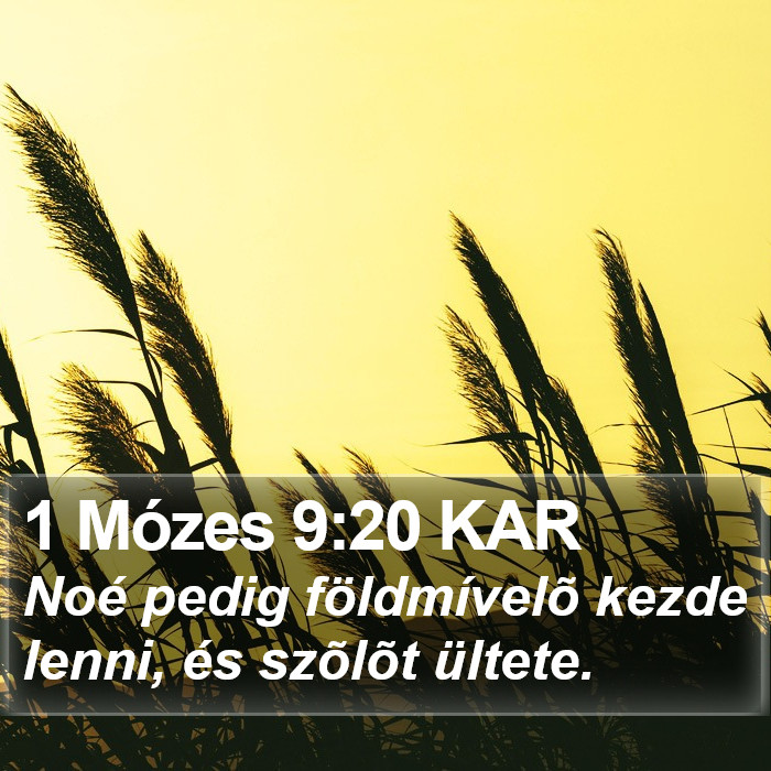 1 Mózes 9:20 KAR Bible Study