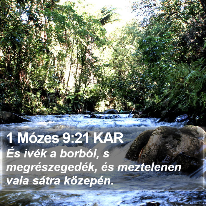 1 Mózes 9:21 KAR Bible Study