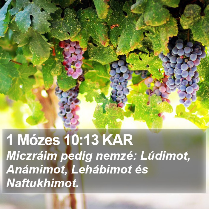 1 Mózes 10:13 KAR Bible Study