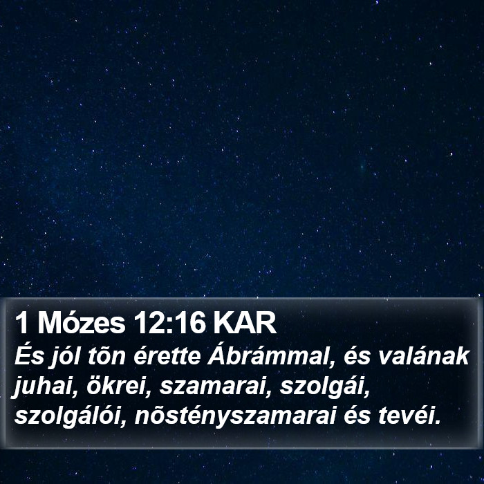 1 Mózes 12:16 KAR Bible Study