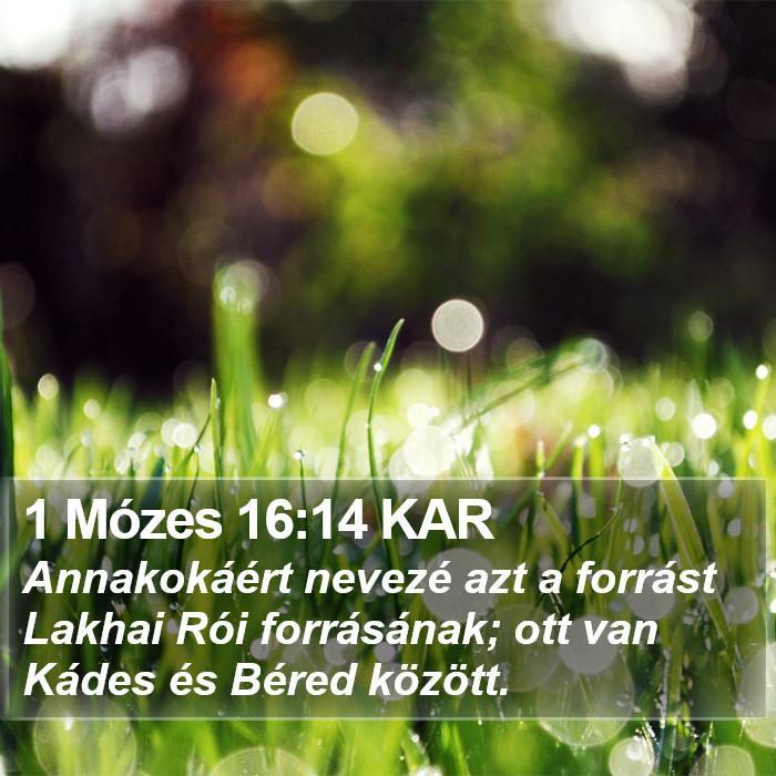 1 Mózes 16:14 KAR Bible Study