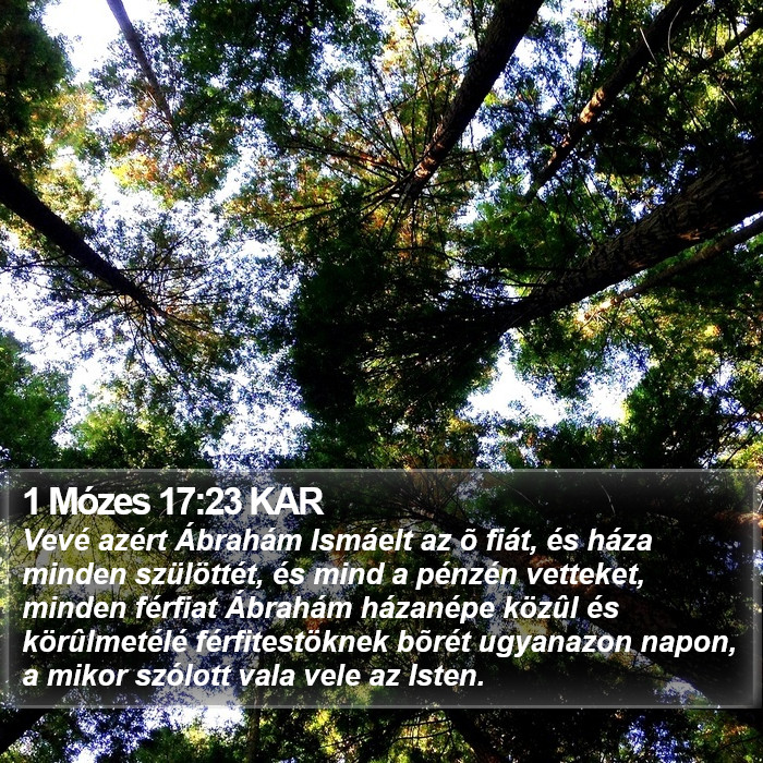 1 Mózes 17:23 KAR Bible Study