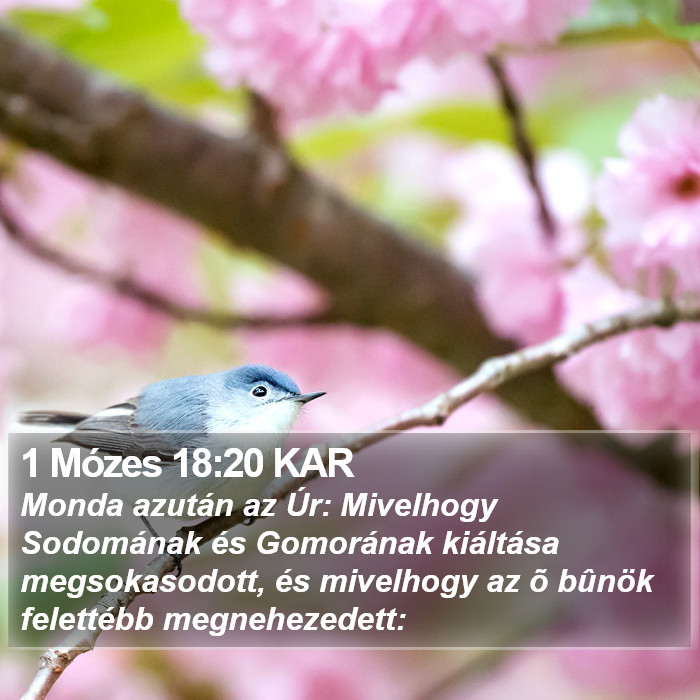 1 Mózes 18:20 KAR Bible Study