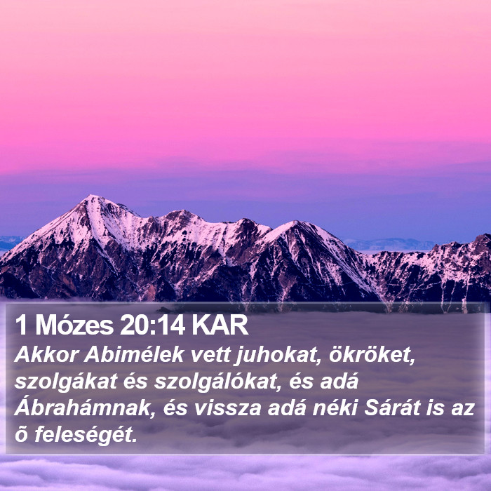 1 Mózes 20:14 KAR Bible Study