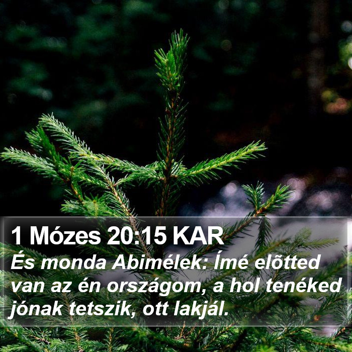 1 Mózes 20:15 KAR Bible Study