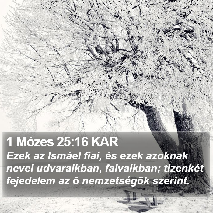 1 Mózes 25:16 KAR Bible Study