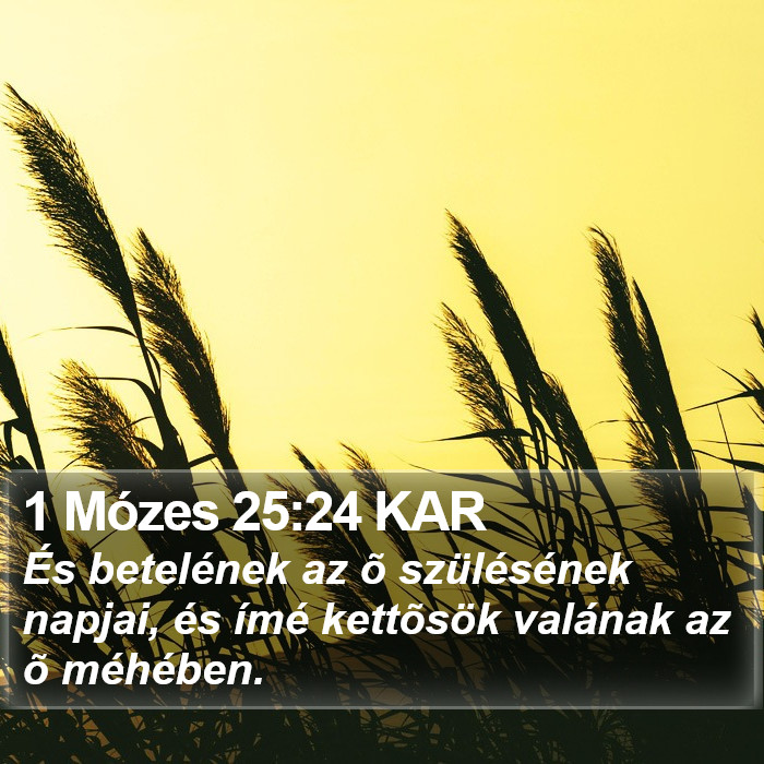 1 Mózes 25:24 KAR Bible Study