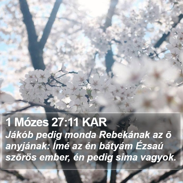 1 Mózes 27:11 KAR Bible Study