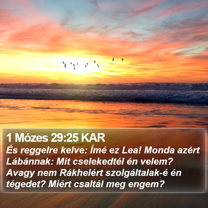 1 Mózes 29:25 KAR Bible Study