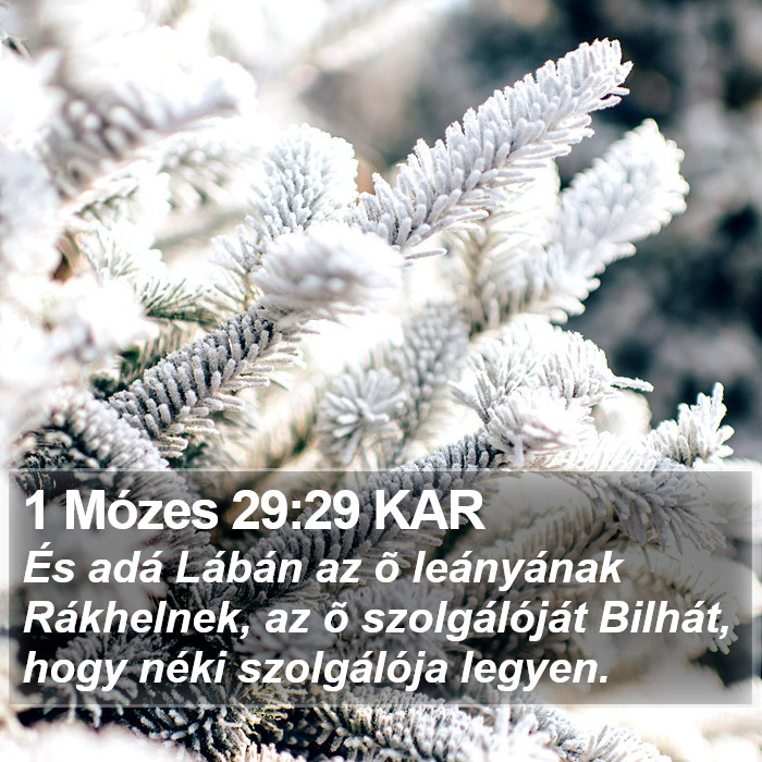 1 Mózes 29:29 KAR Bible Study