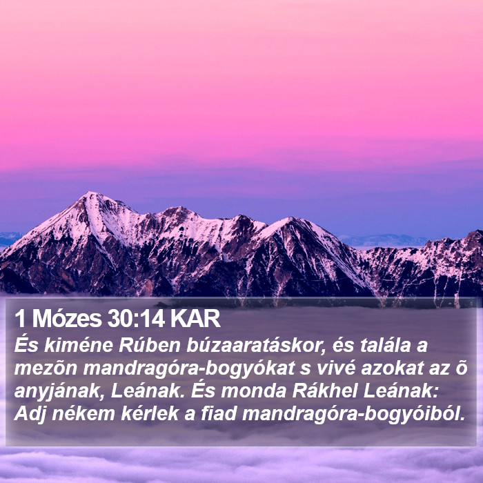 1 Mózes 30:14 KAR Bible Study