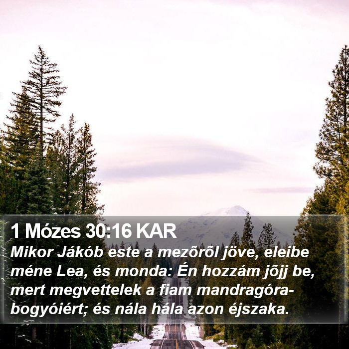 1 Mózes 30:16 KAR Bible Study