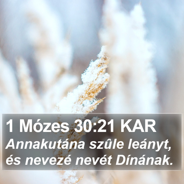 1 Mózes 30:21 KAR Bible Study