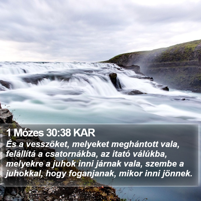 1 Mózes 30:38 KAR Bible Study