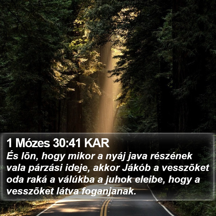 1 Mózes 30:41 KAR Bible Study