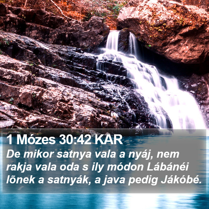 1 Mózes 30:42 KAR Bible Study