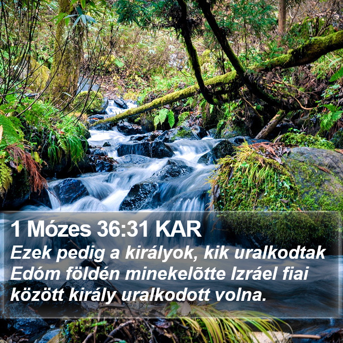 1 Mózes 36:31 KAR Bible Study