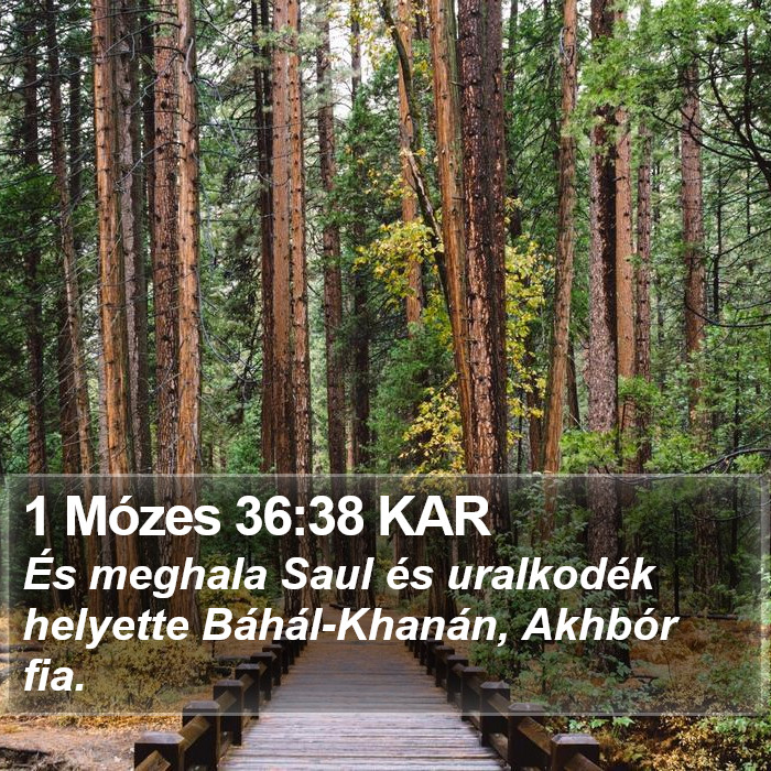 1 Mózes 36:38 KAR Bible Study