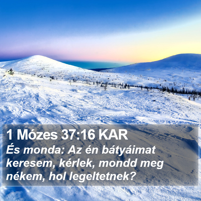 1 Mózes 37:16 KAR Bible Study