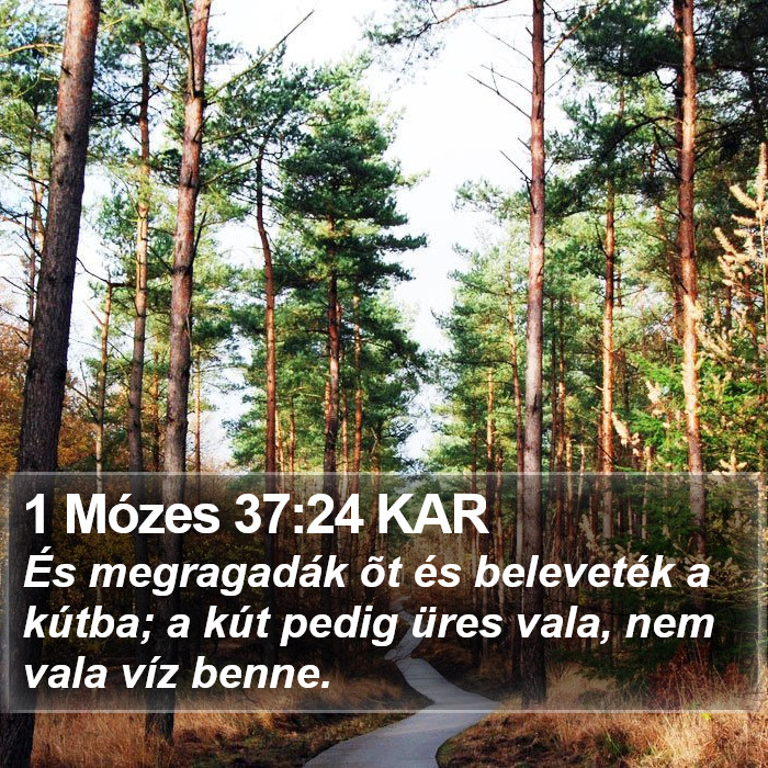 1 Mózes 37:24 KAR Bible Study