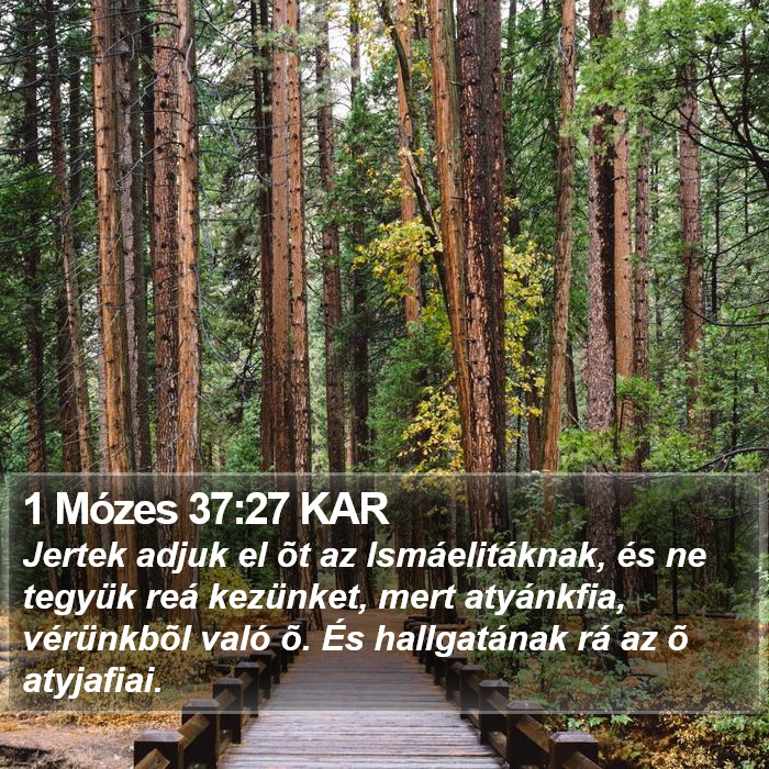 1 Mózes 37:27 KAR Bible Study