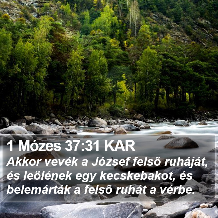 1 Mózes 37:31 KAR Bible Study
