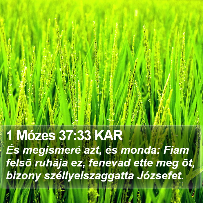 1 Mózes 37:33 KAR Bible Study
