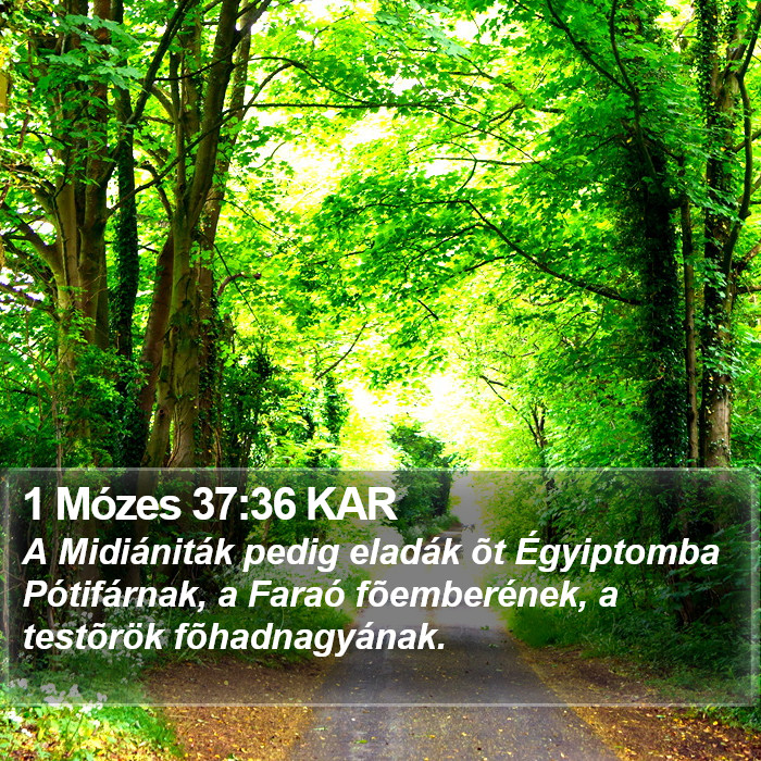 1 Mózes 37:36 KAR Bible Study