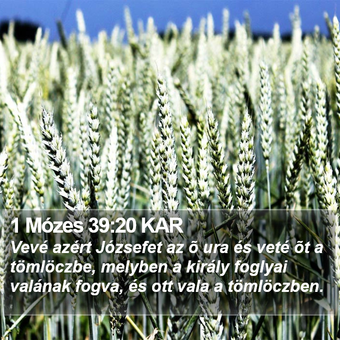1 Mózes 39:20 KAR Bible Study