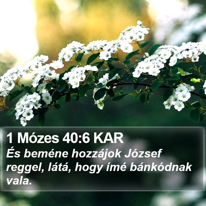 1 Mózes 40:6 KAR Bible Study