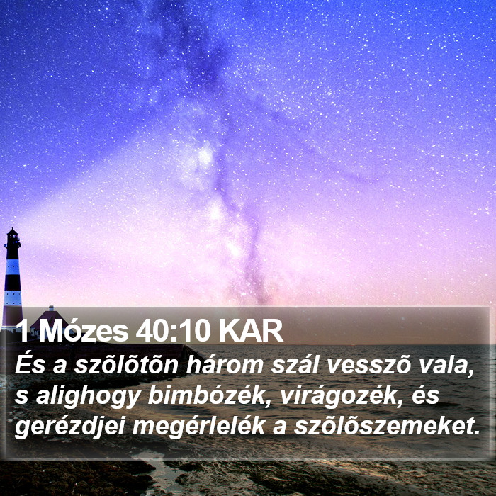 1 Mózes 40:10 KAR Bible Study