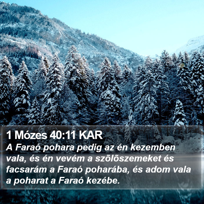 1 Mózes 40:11 KAR Bible Study